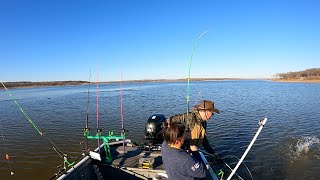 The Quad - Four Blue Catfish at once!!