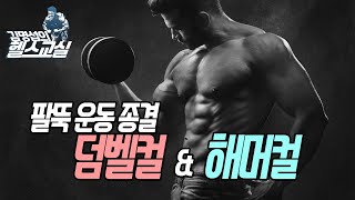 팔운동 part .5  -덤벨컬\u0026해머컬(아주 알아듣기 쉬운 설명!)