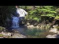 【旅】三重県熊野市、和歌山県、那智勝浦、古座川町の秘境、植魚の滝、ハリオの滝を巡る【滝】