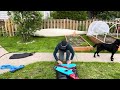 how to pack a packraft alpackaraft expedition