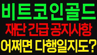 실시간) 비트코인골드 재단 긴급 공지사항! 재단이 그래도 대책을 내놓네요 #비트코인골드 #비트코인골드분석 #비트코인골드상장폐지 #비트코인