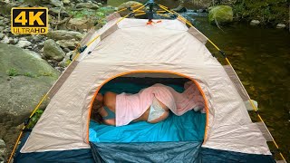 SOLO JUNGLE CAMPING 🌴 HOW MY DREAM TURNED INTO REALITY | 🌿 MYSTICAL FOREST ESCAPE
