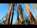 Hiking in Yosemite National Park, California / Yosemite Döletlik Baghchisida piyade yürüsh