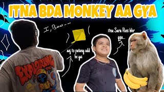 VLOG 87 | . ITNA BDA MONKEY AA GAYA 🐒, #trending #365daysvlogchallenge #dailyvideoblog @GiniMathur