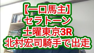 【一口馬主】セラトーン、土曜東京3Rに北村宏司騎手で出走