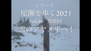 シリーズ・尾瀬を歩く2021　Vol,49最終回　雪のアヤメ平へ！