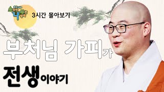 부처님의 가피와 전생이야기 [광우스님 소나무 3편 몰아보기]