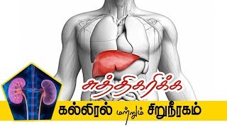 liver and kidney cleanse naturally |கல்லிரல் மற்றும் சிறுநீரகம் சுத்திகரிக்க  ஒரு இயற்கை வழி ?