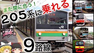 【ゆっくり解説】205系に乗れる9路線