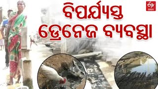 Kalahandi News | ପ୍ରହସନ ପାଲଟିଛି ସ୍ୱଚ୍ଛ ପରିମଳ ଗାଁର ସ୍ୱପ୍ନ, ଦୁର୍ଗନ୍ଧ ପରିବେଶରେ ଅଣନିଶ୍ବାସୀ ଗ୍ରାମବାସୀ  |