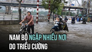 Triều cường đang lên mức đạt báo động 3, Nam bộ ngập nhiều nơi