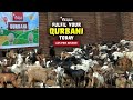 Your Qurbani, Their Hope