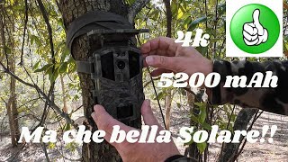 I tried the iZEEKER iG 420 camera trap. Cheap but with excellent performance! My impressions!