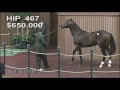 War Front-Love and Pride (Hip 467) at the Keeneland September Sale