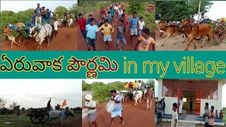 ఏరువాక పౌర్ణమికి ఊళ్ళో పండగ/సందడి/enjoyment ఎలా ఉంటుందో చూడండి