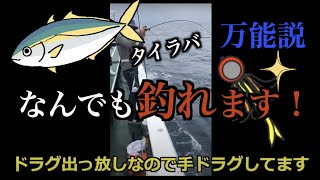 【タイラバ】青物ショート編 釣り初心者 SHIMANO炎月151CT使ってます