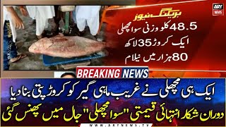 Gwadar: Rare fish known for medical use auctioned at Rs 1.35 crore