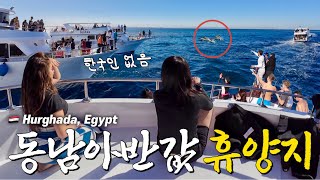 🇪🇬#6 The world's cheapest vacation destinations, Recommended dolphin tour in Hurghada👍 (ft. GoBus)