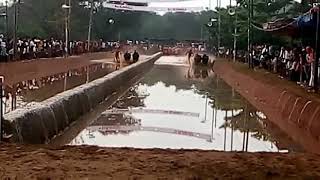 Bangady Kambala - 2015/16 Final Fight.. Boladaguttu vs Kanandthyar (Details in Description)