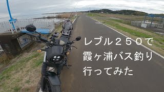 【レブル250】霞ヶ浦でバス釣りしてみた【ソロツー】