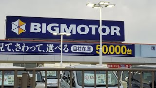 【検証!?】ビックモーター店舗前の街路樹、本当に切られているのか?!グーグルマップ参照。