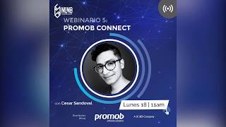 Webinar Promob - Sistema Connect