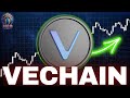 VeChain (VET) Price News Today - Technical Analysis Update, Price Now! Elliott Wave Analysis!