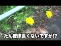 自転車温泉巡り 27 湯原温泉への道〜前編〜【japanese onsen】