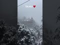 snowfall in shimla himachal pradesh snowfall shimla himachalpradesh natureshorts shorts