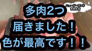 ニュージーランド多肉生活　9/17 持ってる多肉だけど買っちゃった、その理由は、、、