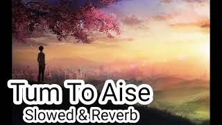 Tum Toh Aise Na  (Slowed \u0026 Reverb) Lofi | Javed Ali | Adarsh Walia