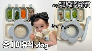 [육아브이로그]생후183일👶🏻7개월아기💛중기이유식🥦베이비무브이유식식단🍽️이유식완밥아기✌🏻