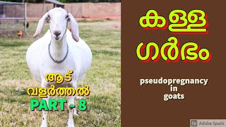 കള്ള ഗർഭം അഥവാ pseudo pregnancy | ആട് വളർത്തൽ S08 | aadu valarthal | pseudopregnancy in goats