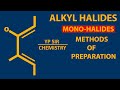 ALKYL HALIDES-1-MONO HALIDES-METHODS OF PREPARATION