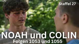 SCHLOSS EINSTEIN - STAFFEL 27: NOAH und COLIN (Folgen 1053 und 1055) - #nolin