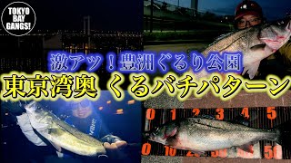 【シーバス】東京湾奥 くるバチ パターン 豊洲ぐるり公園　TOKYO BAY GANGS!