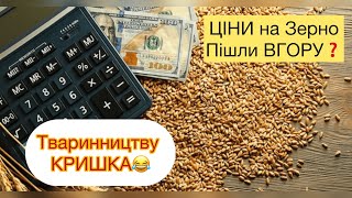 ШОК🐖🔥 ЦІНИ на ЗЕРНО💰ЛЕЛЯТЬ В КОСМОС🐖БІЗНЕС під ЗАГРОЗОЮ