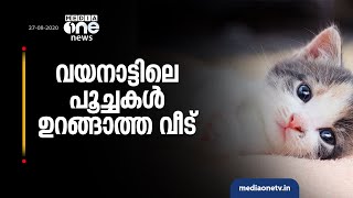 വയനാട്ടിലെ പൂച്ചകള്‍ ഉറങ്ങാത്ത വീട്, തങ്കച്ചന്‍ വളര്‍ത്തുന്നത് അമ്പതിലധികം പൂച്ചകളെ | Cat lover