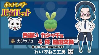 【ポケモンSV】DLC前日 色違いカジッチュ 4体 抽選交換   　＃ポケモン #ポケモンSV #ポケモン交換 ＃色違い #カジッチュ #カミッチュ