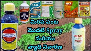 Chilli crop/మిరప తోట మొదటి spray/Fosmite,Colfos,mono,SAAF,ACTARA,Thionutri,Max,/వ్యాధి నివారణ/