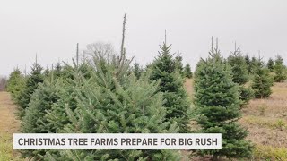 Hart Tree farm prepares year-round for perfect Christmas trees