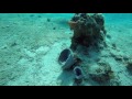 discover scuba in cozumel