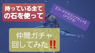 🎉持ってる全ての石を使って🎉【コードドラゴンブラッド（ドラブラ）】仲間ガチャを回してみた😁