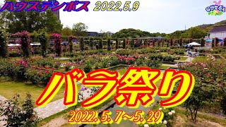 Huis Ten Bosch ✨ ハウステンボス 🌹 アジア最大級 ✨ バラ祭 🌹 2022.5.9 🌺 30周年 🌼🌸