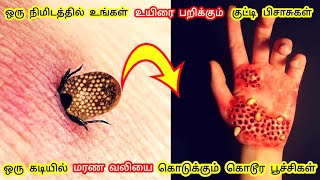 ஒரு கடியில் மரண வலியை கொடுக்கும் கொடூர பூச்சிகள்//the most dangerous bugs in the world in Tamil