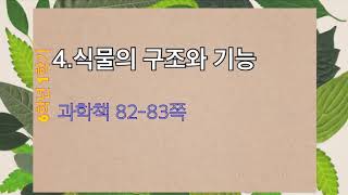 6학년 1학기 4.식물의 구조와 기능_6)증산작용