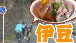 絶品グルメに絶景！ロードバイクで伊豆半島を満喫して来た！ 【ファムトリップ伊豆半島】