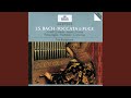 J.S. Bach: Toccata And Fugue In D Minor, BWV 565 - (Toccata) Adagio