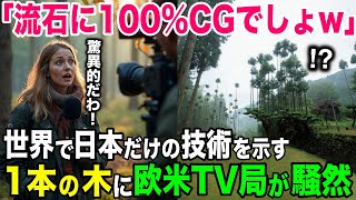 【海外の反応】「こんなの…100％CGだろw」欧米TV局が日本だけの技術に衝撃を受けるw【日本のあれこれ】