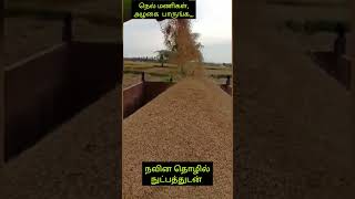 #shorts8 #tamilshorts #foodlover #vlog வாங்க  வயல்களில் நெல் மணிகள் தயாராக இருப்பதை பார்ப்போம்,